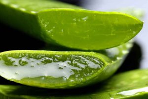 Alovera for dry skin