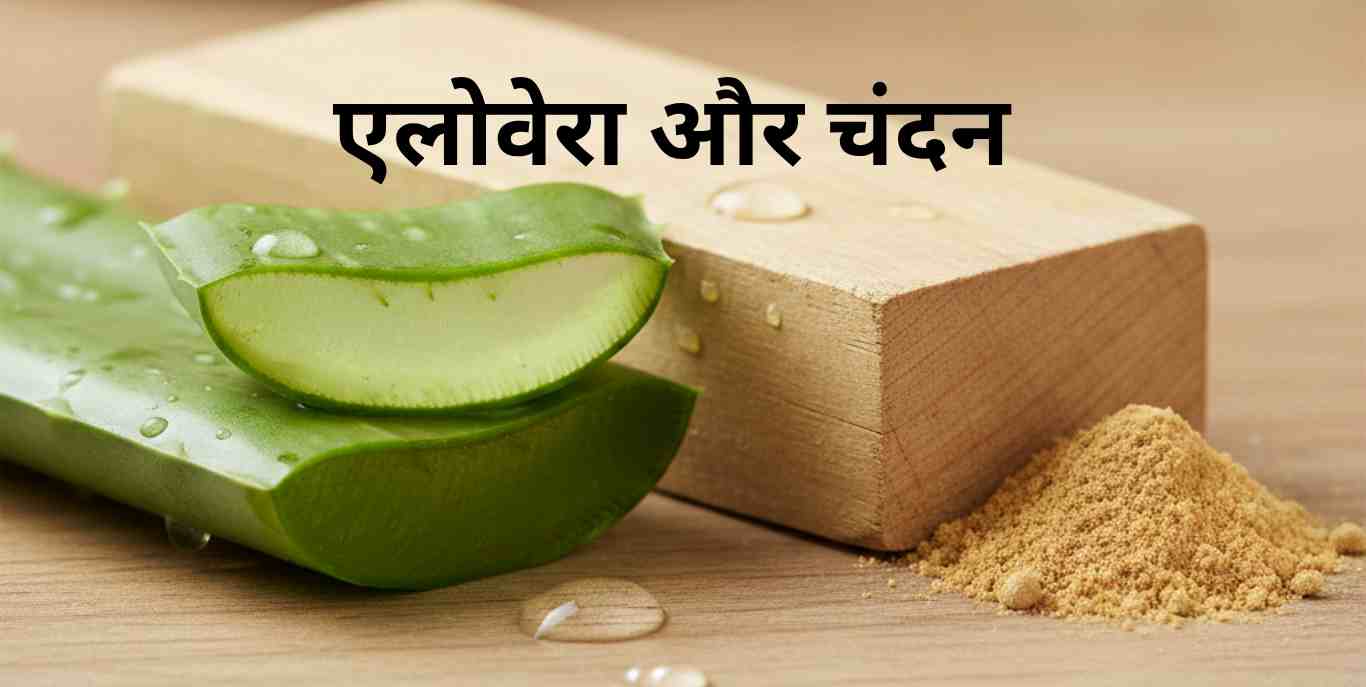 1 20251120 211340 0000 क्या ऑयली स्किन पर ग्लो नहीं है? तो ट्राई करें ये 9 effective होममेड फेस पैक