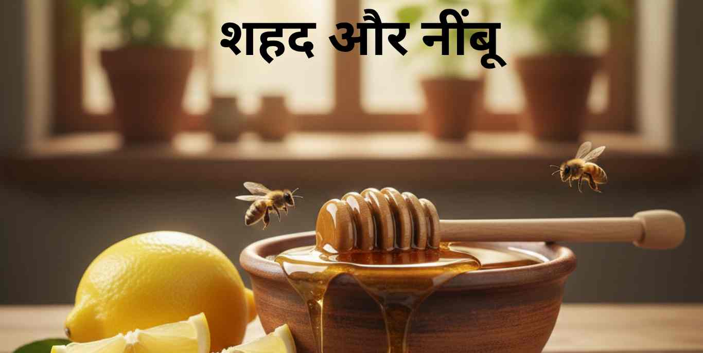 1 20251120 214413 0000 क्या ऑयली स्किन पर ग्लो नहीं है? तो ट्राई करें ये 9 effective होममेड फेस पैक